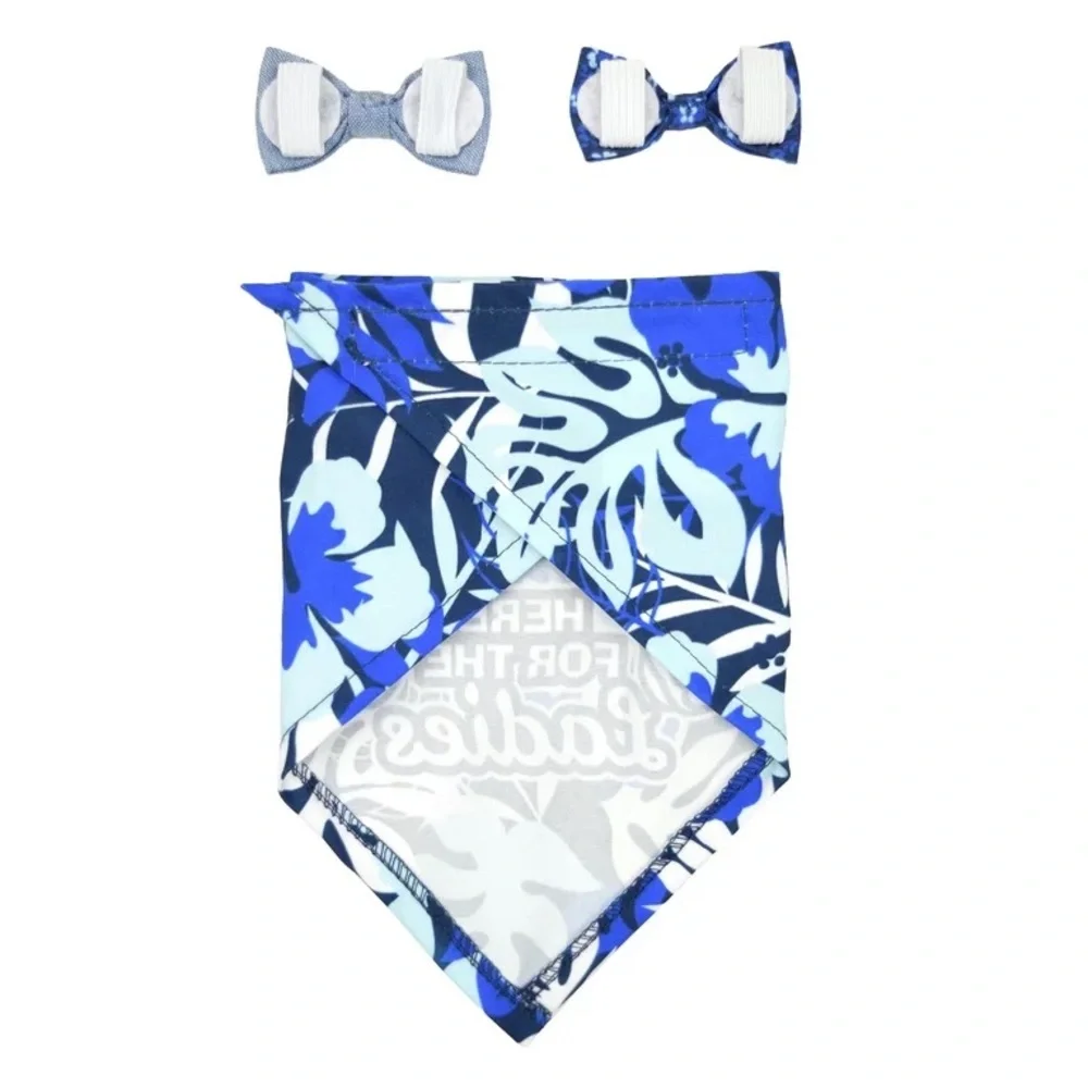Vibrant Life Dog Bandana & Collar Clip Set, 